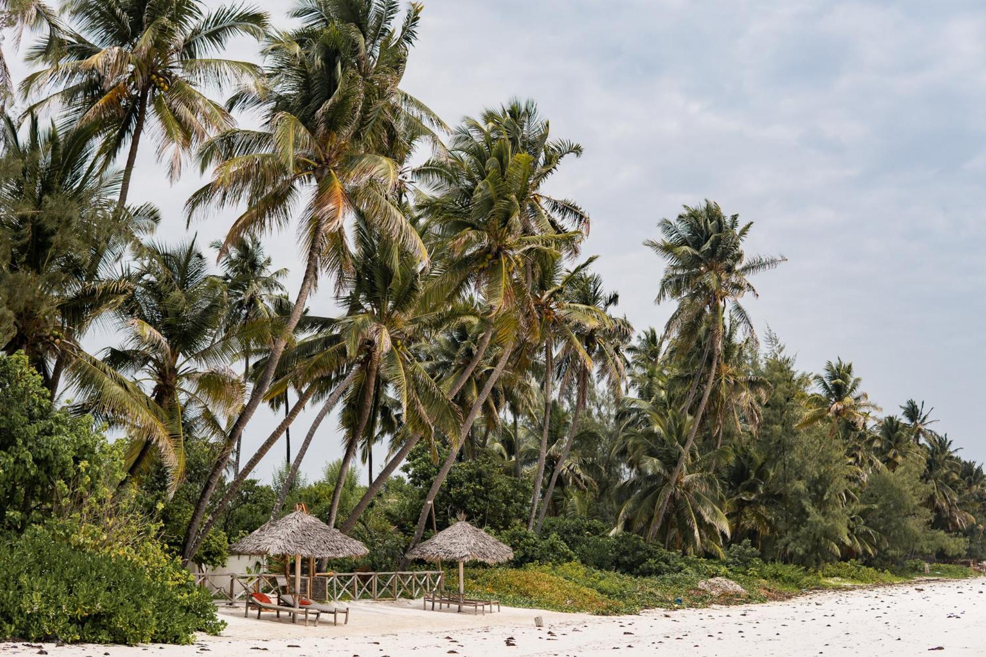 Kima Serviced Beach House & Suites Bwejuu Luaran gambar